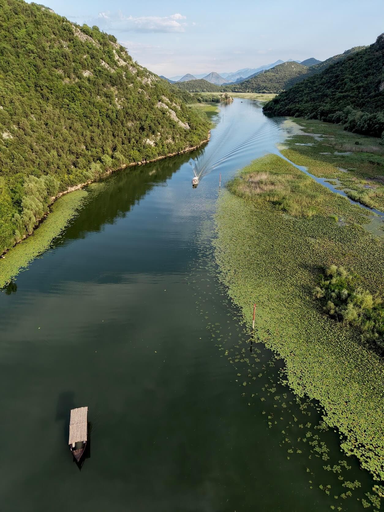 Aerial view of the emerald wetlands of Skadar Lake