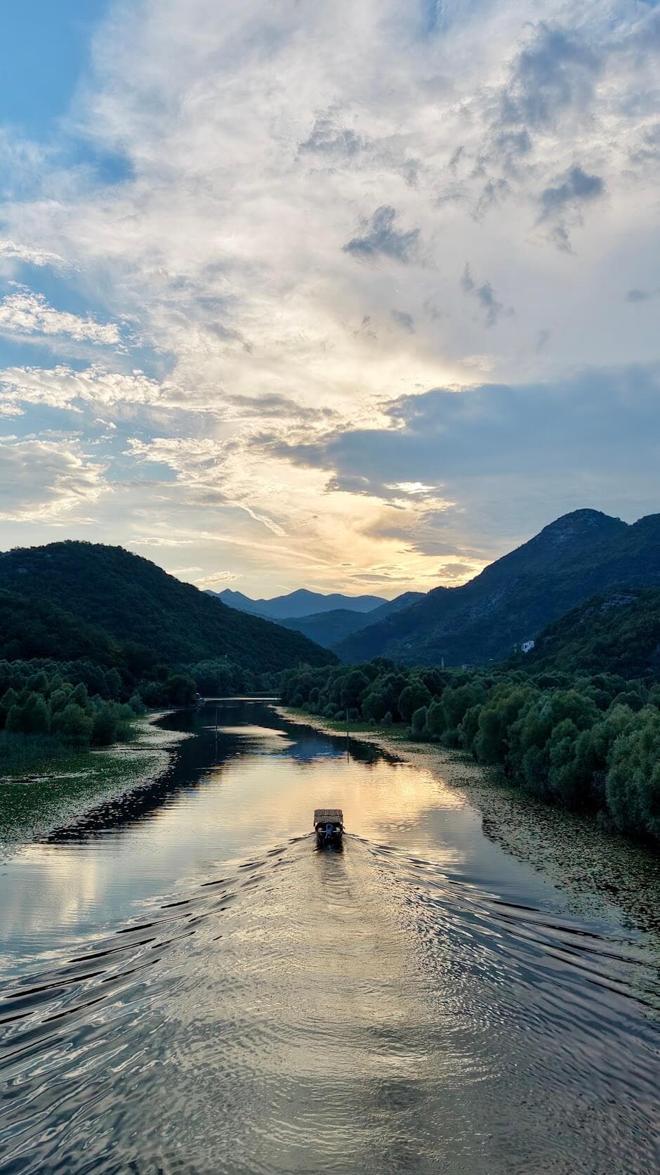Aerial view of reed beds and channels on Skadar Lake