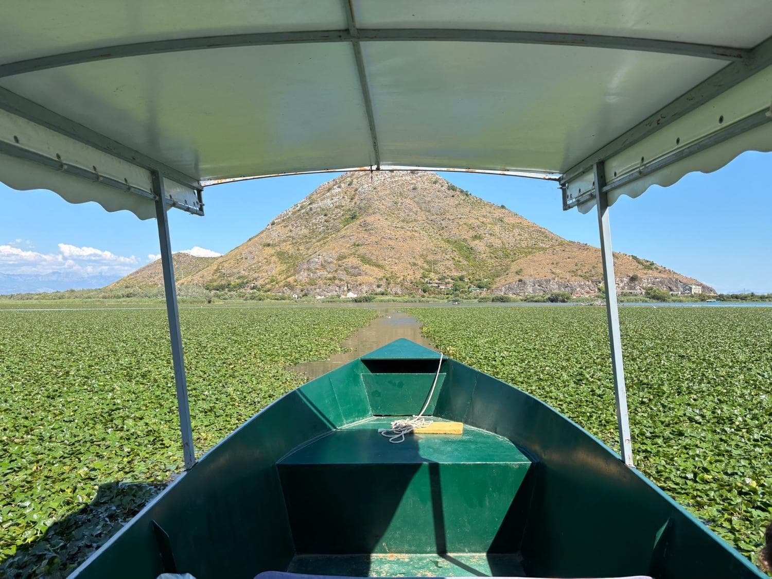 Skadar Lake boat tour view from inside a traditional boat