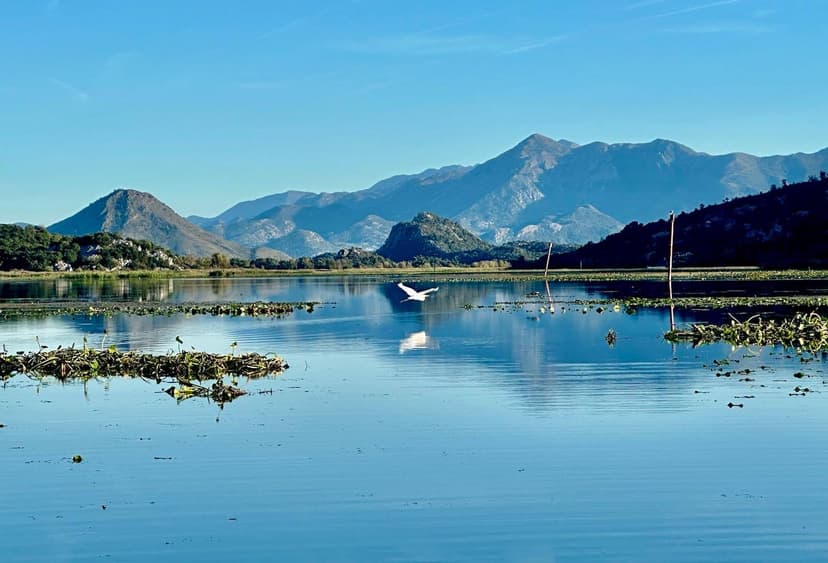 Vranjina Island