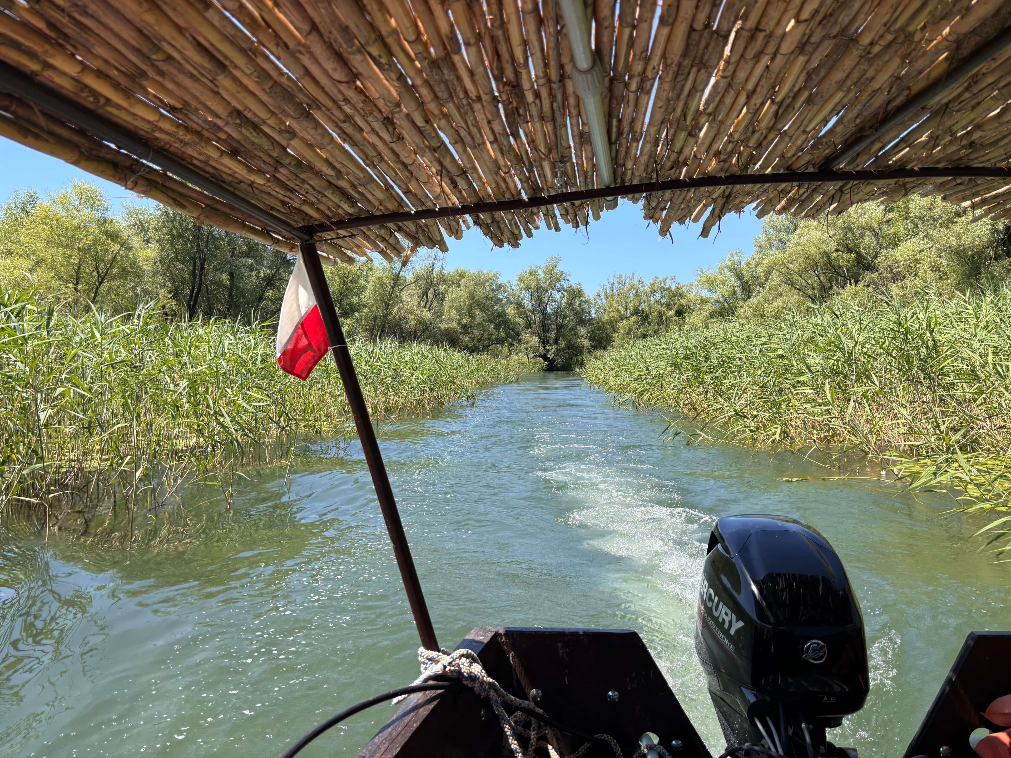 Private boat in a narrow reed channel of the Crnojevica River, Lake Skadar, Montenegro