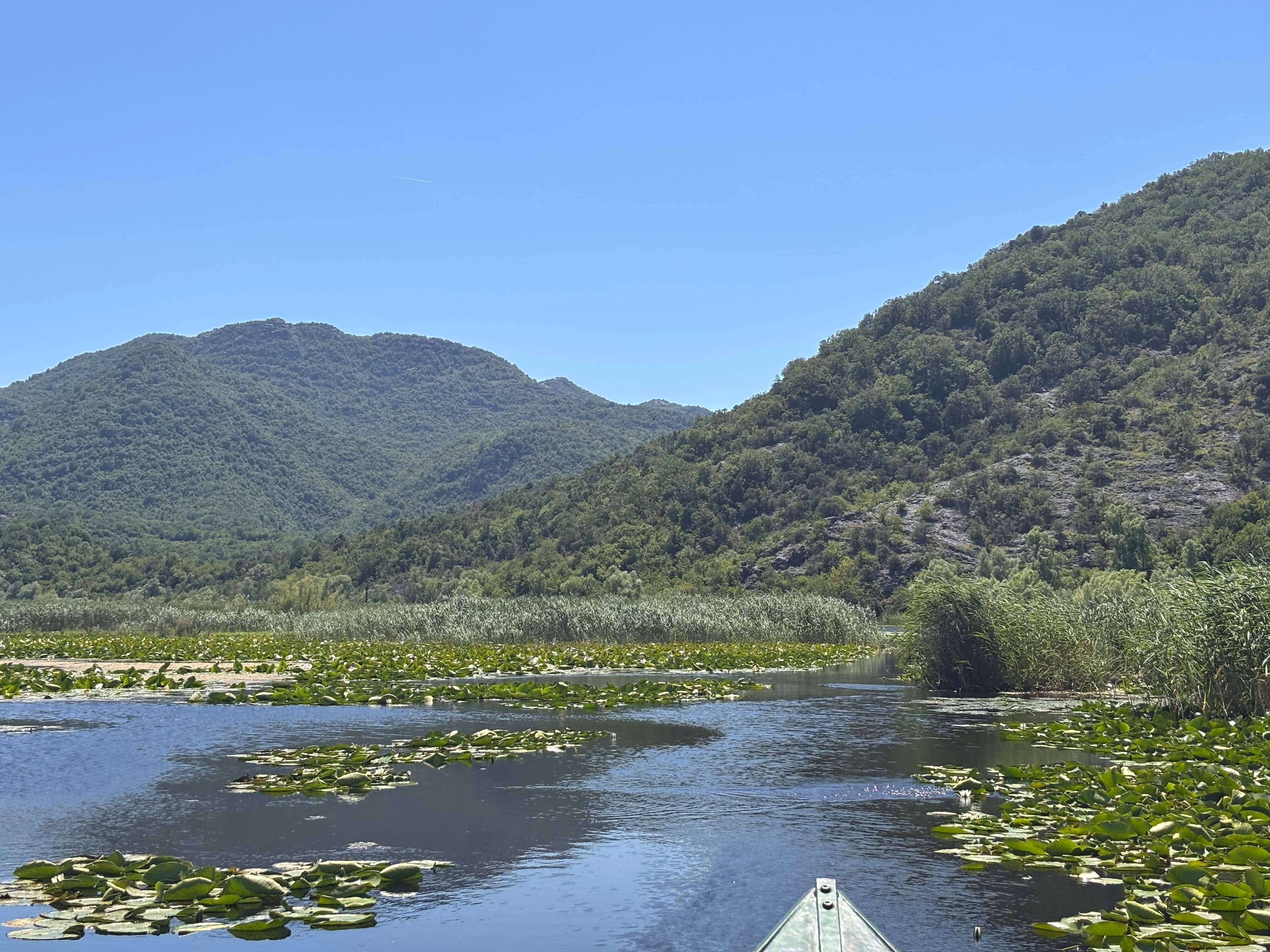 Open water and water lilies framed by mountains on Lake Skadar, Montenegro
